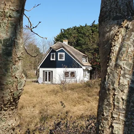Uilen * De Cocksdorp (Texel)