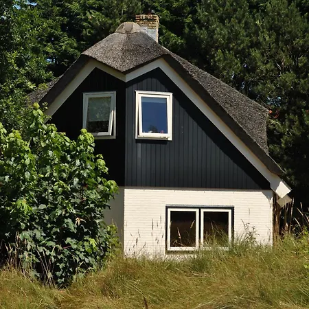 Uilen * De Cocksdorp (Texel)