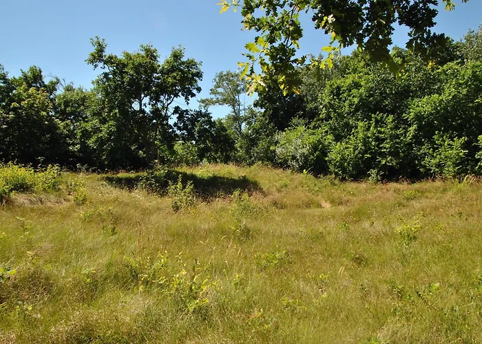 בית נופש Uilen דה קוקסדורפ