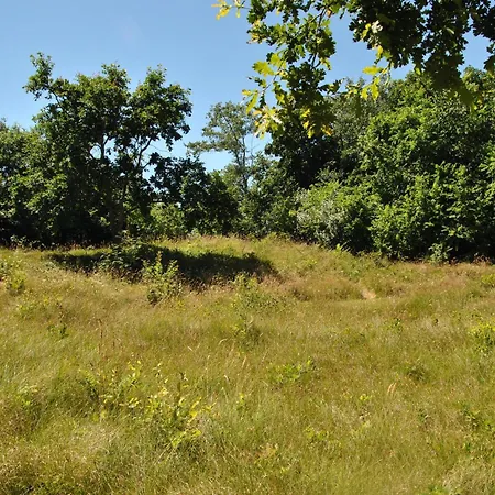 Semesterbostad Uilen De Cocksdorp (Texel)